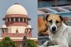 వీధి కుక్కల సమస్యపై సుప్రీంకోర్టు సంచలన వ్యాఖ్యలు