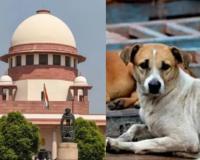 వీధి కుక్కల సమస్యపై సుప్రీంకోర్టు సంచలన వ్యాఖ్యలు
